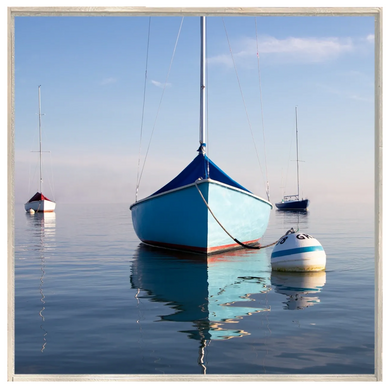 Morning Glory - 12