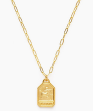 Load image into Gallery viewer, Dog Tag Zodiac Medallion